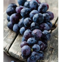 BLACK GRAPES 100gm