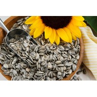 Sunflower seeds 50 gms